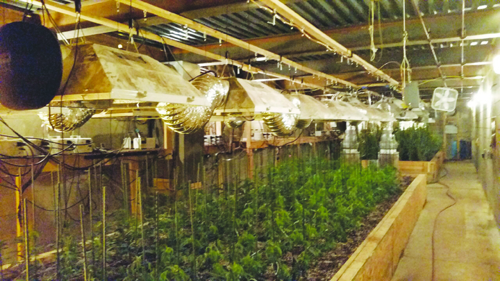 The basement area of this commercial garage structure on Mayhill Road was home to one of two major marijuana grow operations raided by the Adams County Sheriff’s Office last week. Photo by Patricia Beech