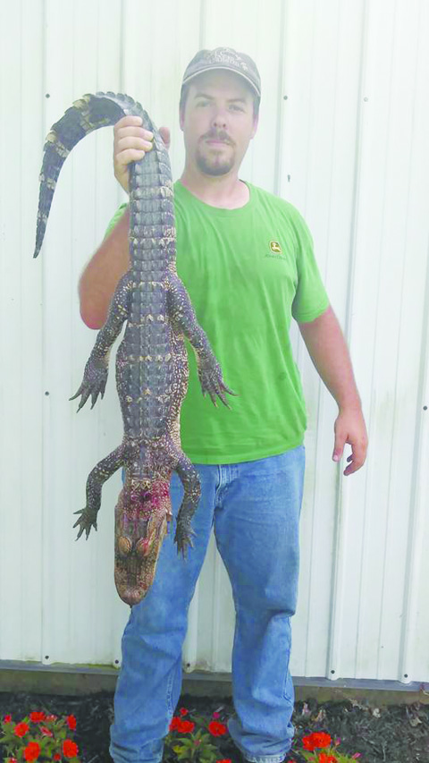 Nathan Dailey poses with the "gator" found earlier this week on his father's property.