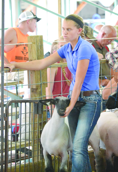 One of the tough moments of fair week is the goodbye between the young people and their animals. Here, Madee Shipley gets set to take her sheep into the sale arena.