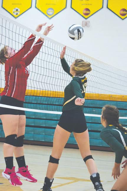 Eyes are closed and hair is flying during this battle at the net from Saturday’s sectional championship volleyball match at North Adams. The Lady Devils’ Madison Jenkins, right, tries to get her hands on a ball blocked by Eastern Brown’s Mikayla Farris in a match won by North Adams in three sets, 25-17, 25-18, and 25-10.