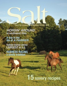 Salt September/October 2015