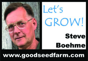 Green water in your garden pond?