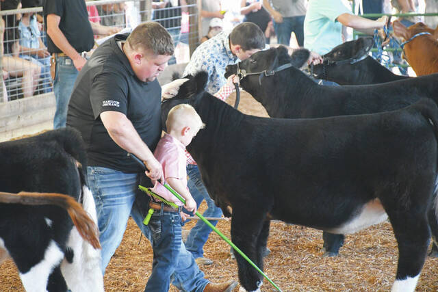 The 4-H livestock shows are always a highlight of the Adams County Fair. (Photo by Mark Carpenter)