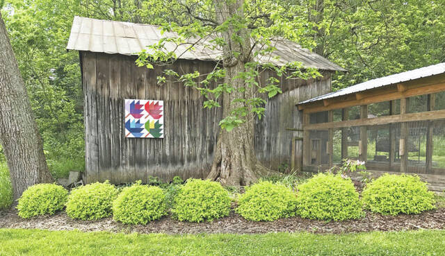 Early spring shearing keeps colorful shrubs (like these Limemound spirea) tidy and encourages colorful new shoots.
