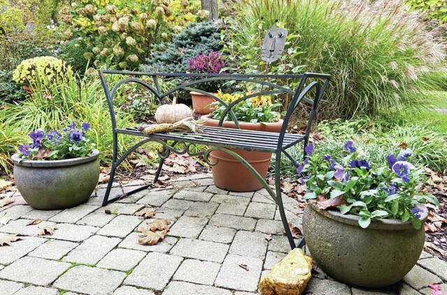 Colorful Pansies will shrug off frost and snow. You can plant them now in window boxes, planter pots and your flower garden. (GoodSeed Farm Photo)