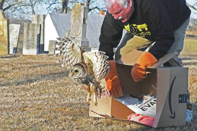 Marc Alverson releasing the Barred Owl at Kirker Cemetery on February 6. (Photo by Cindy Alverson)