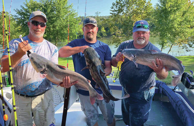 130968749_web1_Catfish
Photos: Catches from Saturdays Ohio River Monster Catfish Challenge at Island Creek Boat Ramp near Manchester. (Photos by Tom Cross)