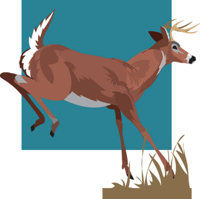 Cover your “Whitetail”: Legal considerations for hunting allowance on private property