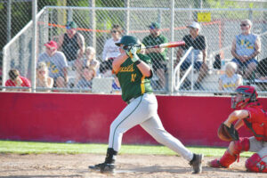 Devils blanked in district quarters