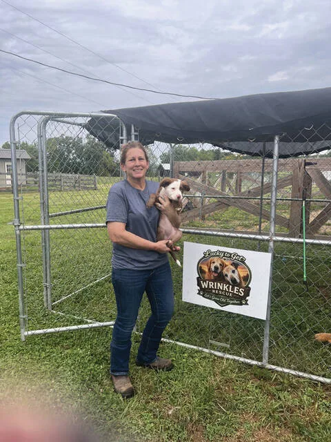 Angie Rogers Baldwin, Director of Lucky to Get Wrinkles Rescue, holding little Greta Lynn. (Photo by Sherry Larson)
Cats sitting on Angies desk. (Photo by Sherry Larson)