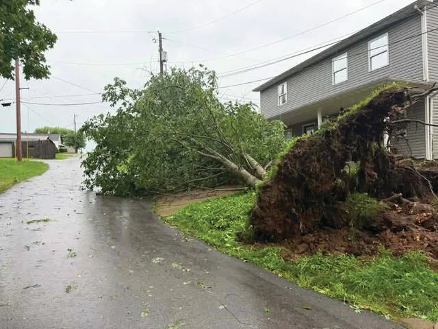 .N. West St West Union (Submitted by Isebell Allen)