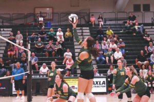Lady Devils survive SHJAC gauntlet