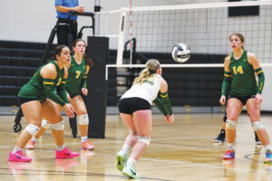Lady Devils advance to district semifinals