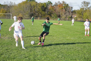 Dragons fall in district semis